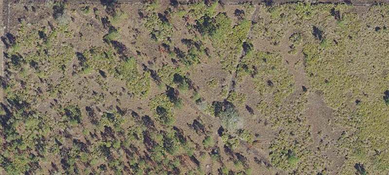 5-Acre Residential Land Lot