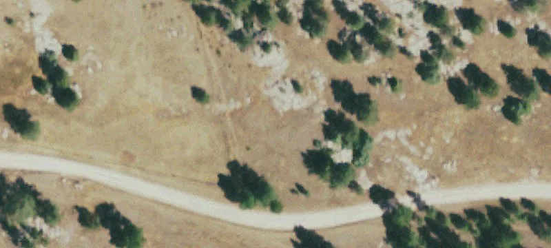 Hunting Land Subdivision Lots