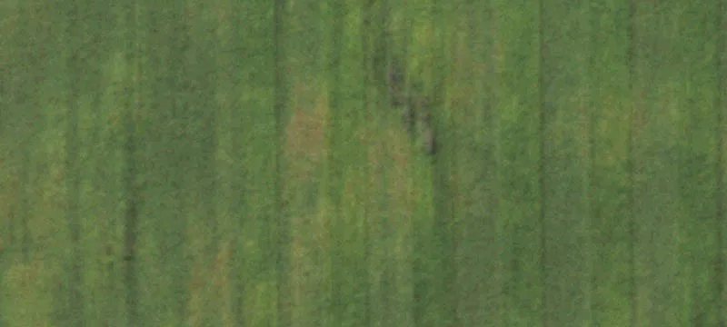 Agricultural Land Tract