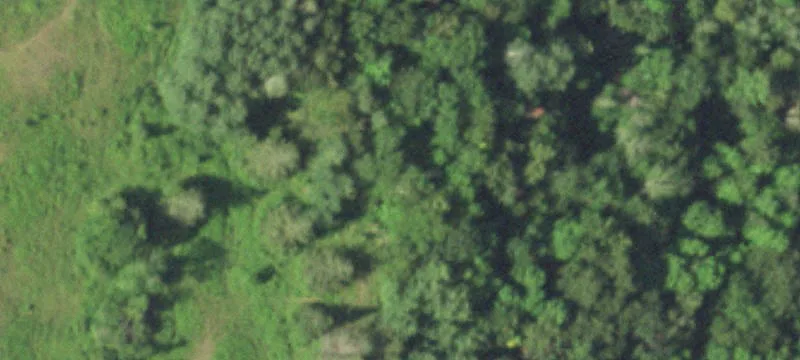 Partially Cleared Hunting Land Parcel