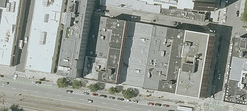 One-Bedroom Apartment Near BU