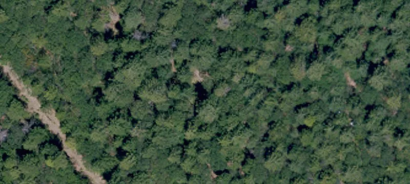 Forested Waterfront Land with Building Pad