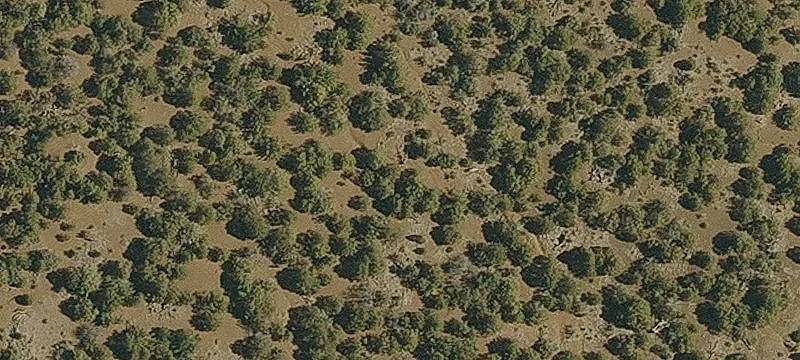 Recreation Land with Mountain Views