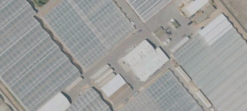 Turnkey Greenhouse Cannabis Farm