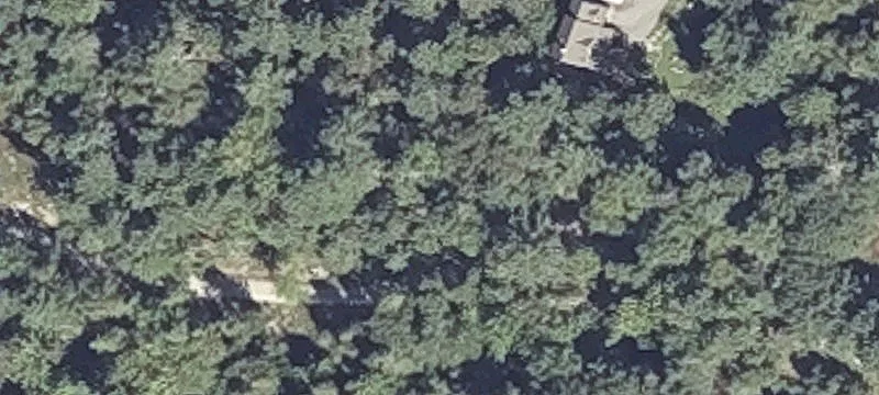 Forested Waterfront Home Lot
