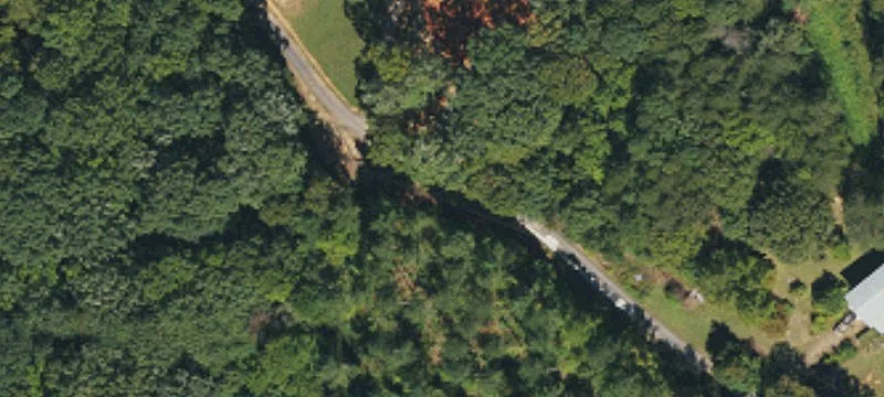 Wooded Buildable Lot with Easement