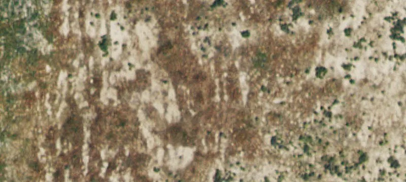 Agricultural Land with Grow Infrastructure