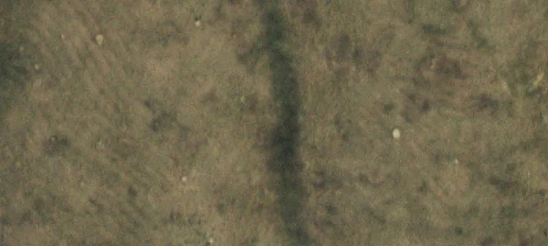 Adjacent Residential Land Parcels