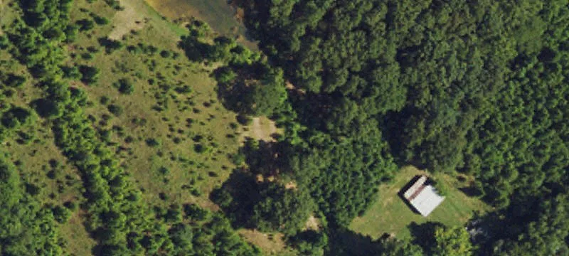 Wooded Acreage With Easement Road