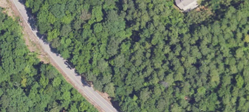 Wooded Residential Homesite Lot