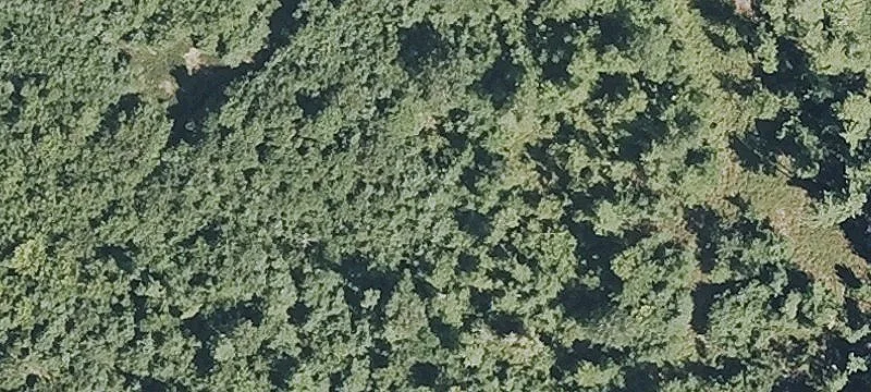 Subdividable Residential Land Parcel