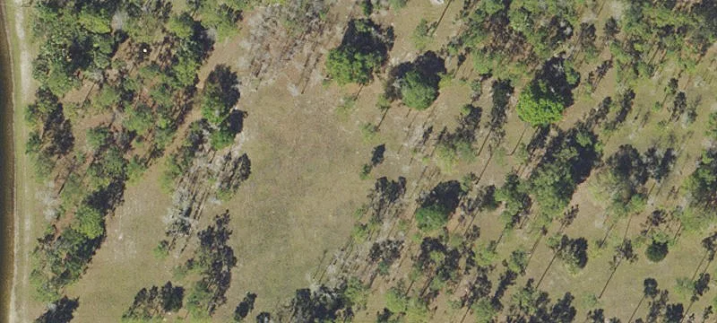 Cleared Equestrian Homesite Land