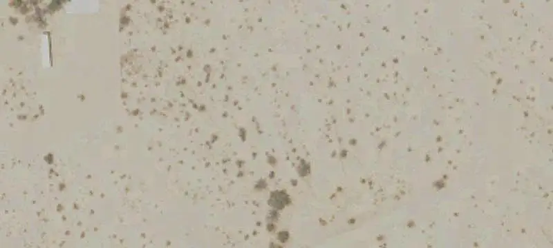 High-Desert Land Parcel