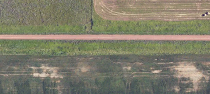 Bar and Restaurant Property
