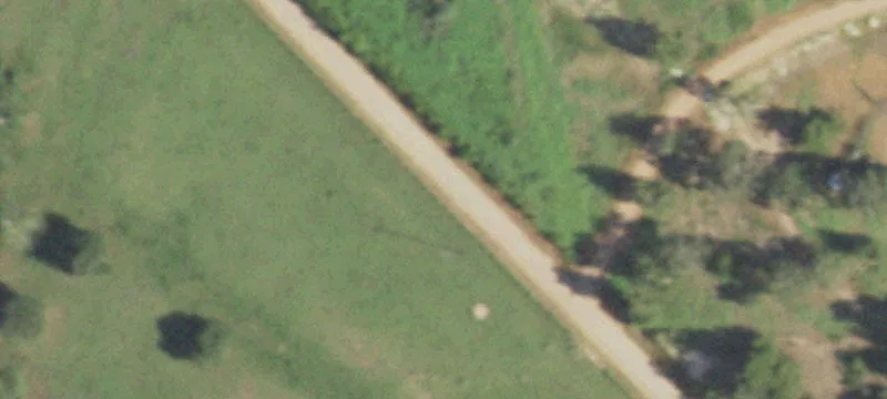 Agricultural Land with 2019 Home
