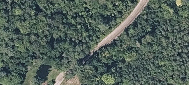 Wooded Land Parcel on Dead-End Road