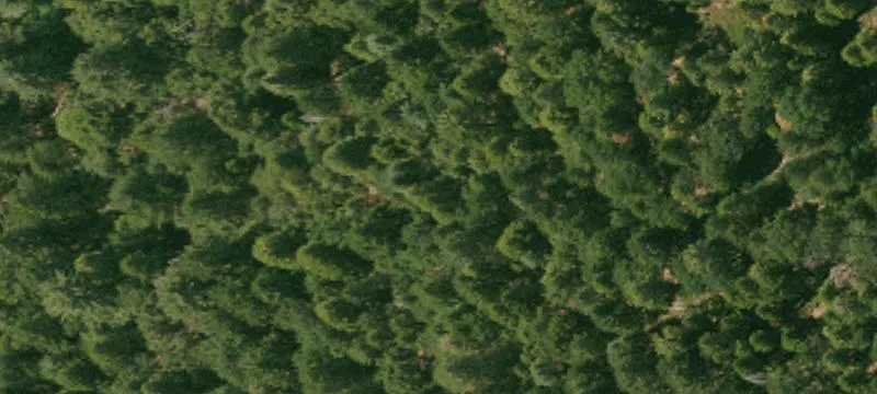Secluded Recreational Land with Springs