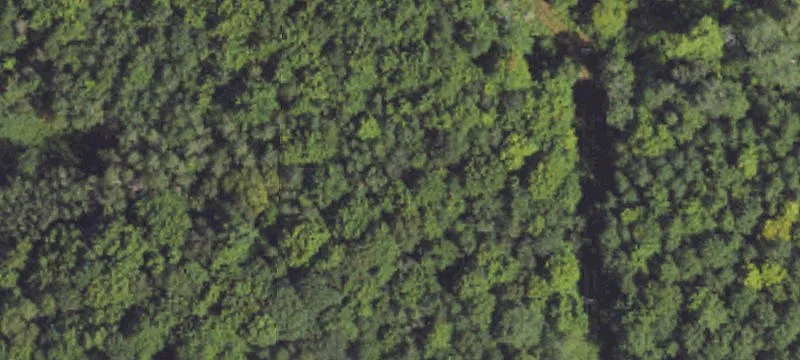 Wooded Acreage with Septic Permit