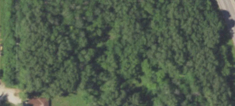 Wooded Commercial Development Land