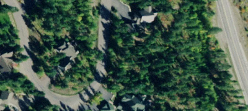 Wooded Ski Resort Home Site