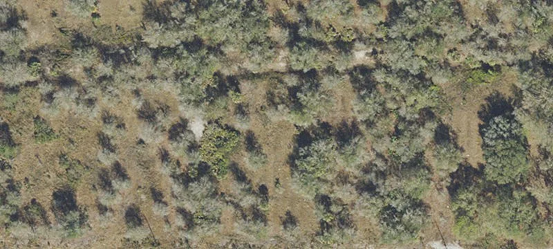Residential Land Lot Opportunity