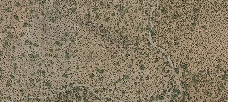 Gated Custom Home Land Lots