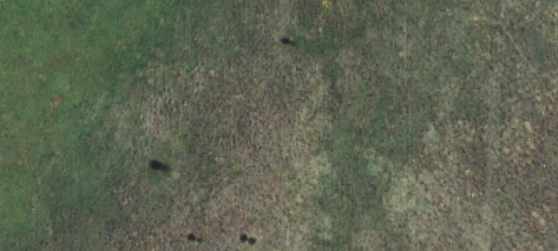Turnkey Cattle Ranch with Cross-Fenced Pastures