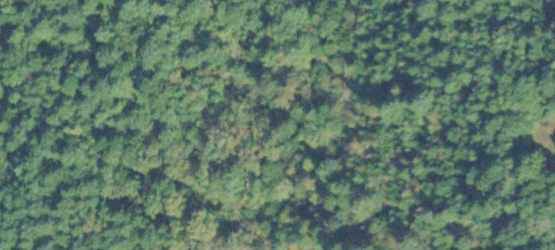 Unrestricted Land with Septic Approval