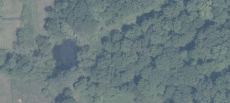 Wooded Recreational Land Tract