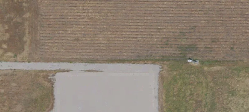 Cannabis-Approved Cultivation Land