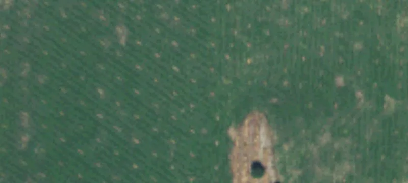 Waterfront Agricultural Land Parcel