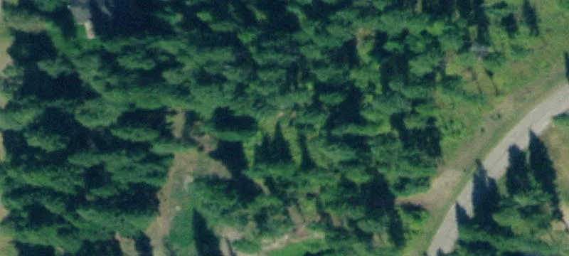 Wooded Residential Home Lot
