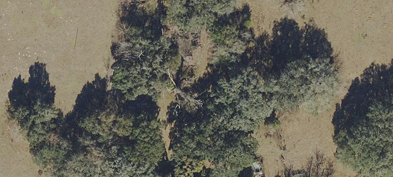 Residential Land Homesite