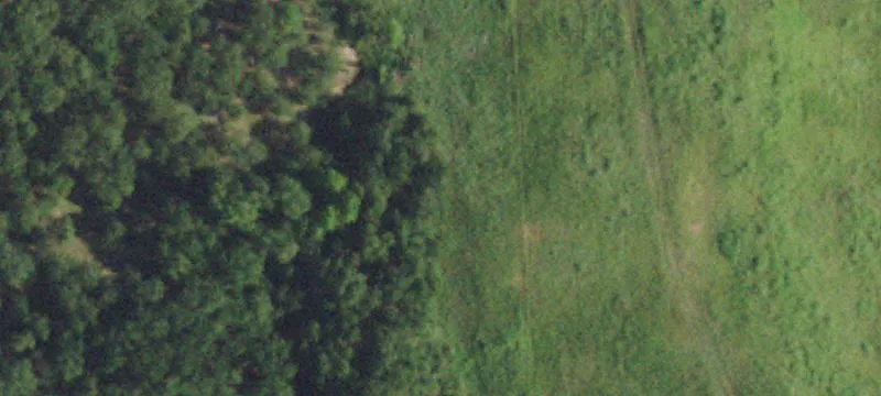 Partially Wooded Residential Acreage