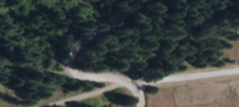 Level Treed Residential Land Lot