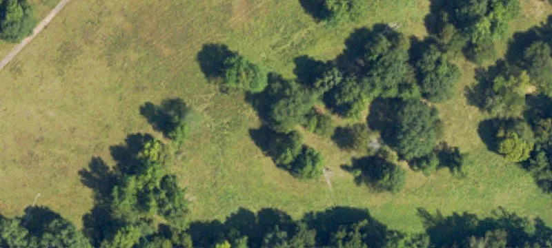 Other Specialty Property Off Hankins Road