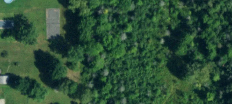 Residential Flag Lot Land