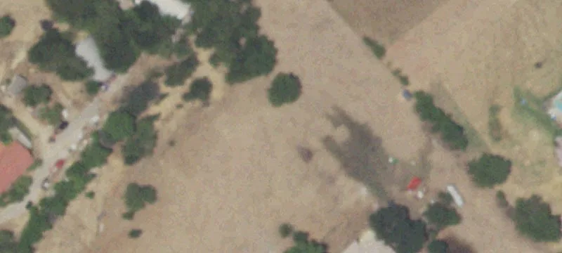 Animal-Friendly Acreage Building Lot