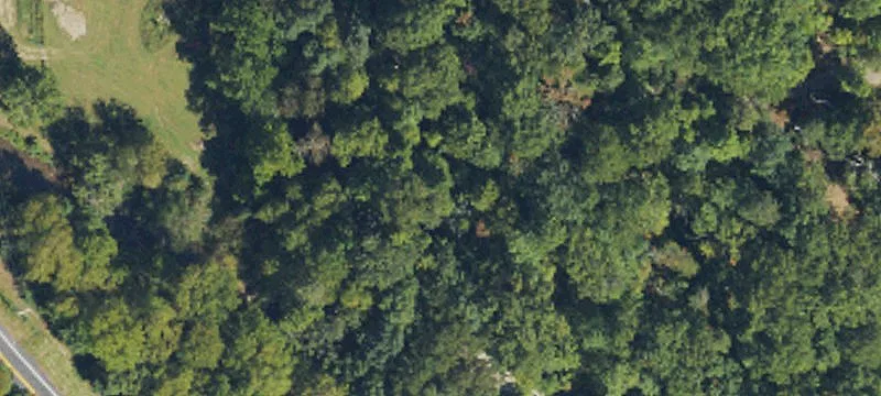 Waterfront Mountain Land