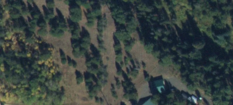 Wooded Waterfront Rim Lot