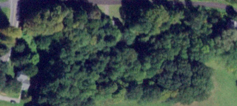 Wooded Land with Road Frontage