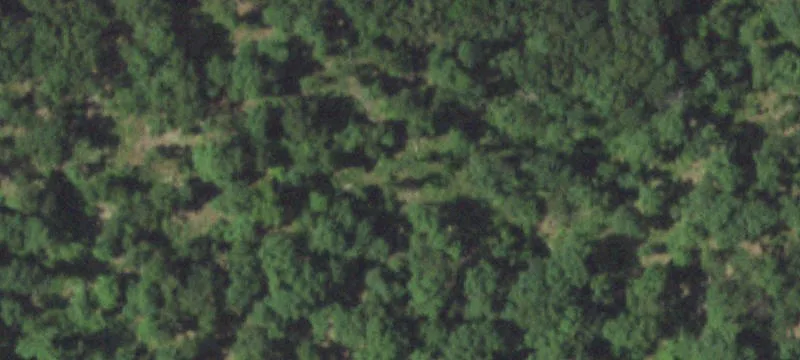 Pasture Land with Homesite Potential
