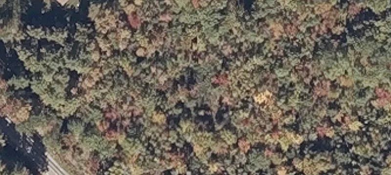 Vacant Land Parcel