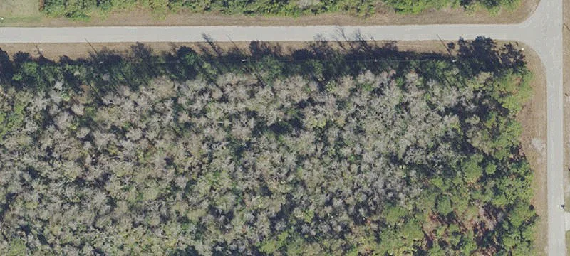 Residential Land Lot