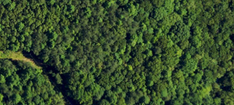 Hunting and Recreation Land Parcel
