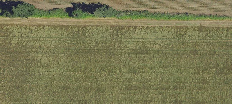 Commercial Farmland Parcel