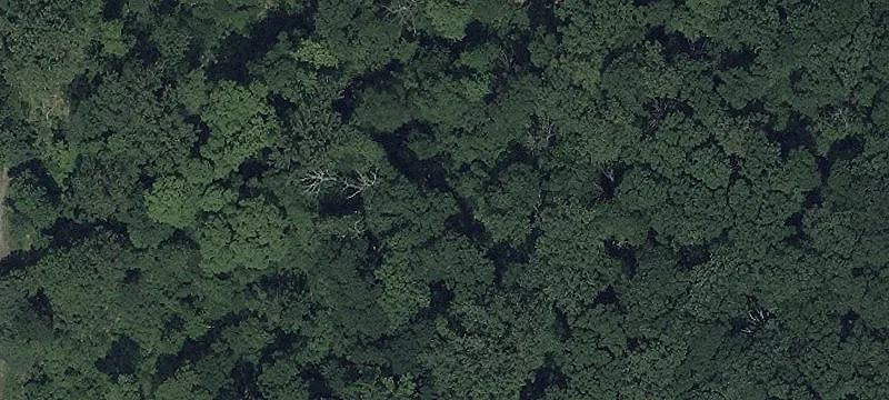 Perc-Approved Building Lot