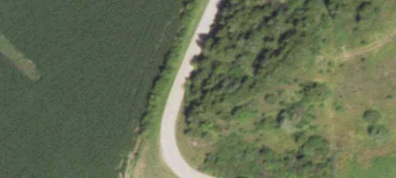 Treed Build-Ready Home Lot