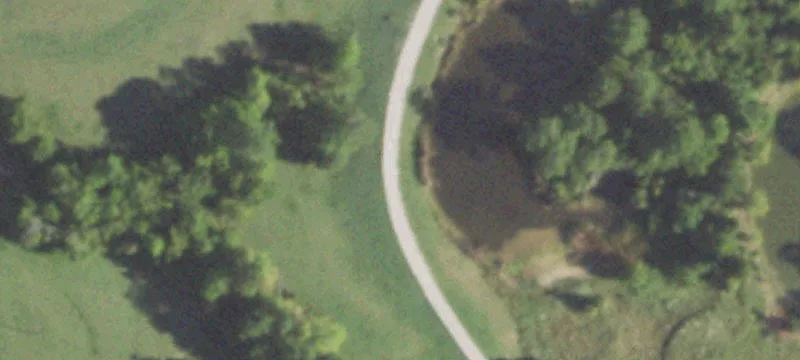 Vineyard Estate Acreage