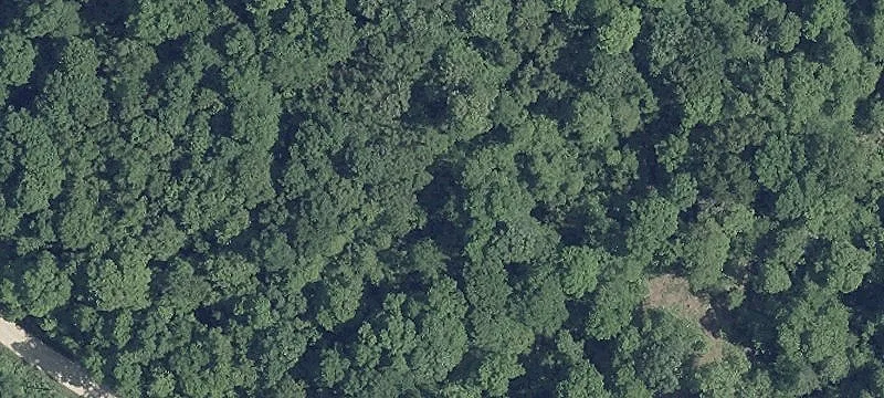 Land Parcel with Small Cabin